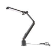 Laguna Double Arm Rectangular Head LED Chameleon 95CRI Lamp